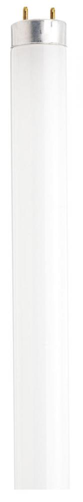 25 Watt; T8; Fluorescent; 3000K Warm White; 82 CRI; Medium Bi Pin base; Shatter Proof