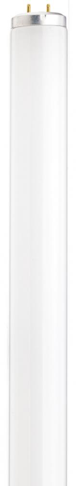40 Watt; T12; Fluorescent; 3500K Neutral White; 82 CRI; Medium Bi Pin base; Shatter Proof