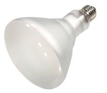 Satco Products Inc. S4504/TF - 75 Watt; Halogen; BR40; 2500 Average rated Hours; 900 Lumens; Medium base; 120 Volt; Shatter Proof