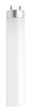 Satco Products Inc. S6516/TF - 18 Watt; T8; Fluorescent; 4100K Cool White; 62 CRI; Medium Bi Pin base; Shatter Proof