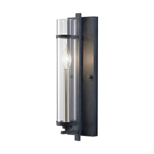 Generation Lighting WB1560AF/BS - Ethan Wall Sconce