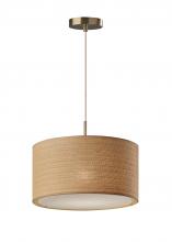 AFJ - Adesso 4003-21 - Harvest Large Pendant